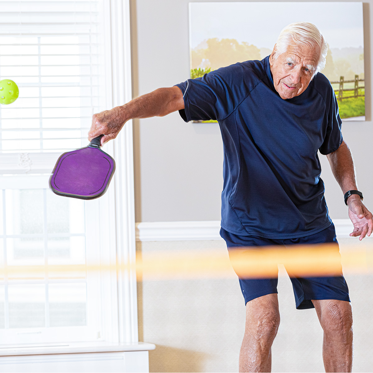 The Rise of Pickleball