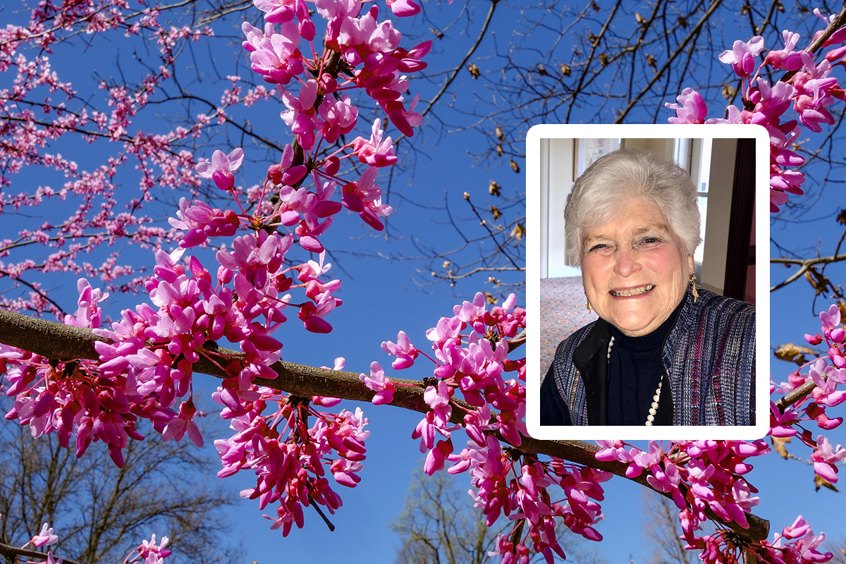 A Life in Bloom at The Hill: Sabina Gatti