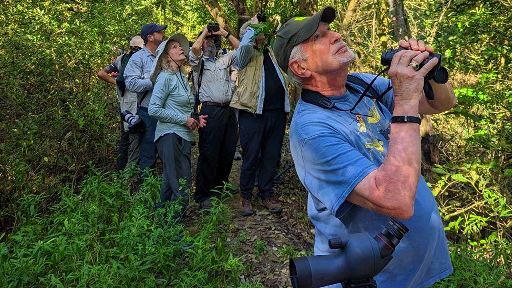 The Intersection of Travel, Culture, and Birding